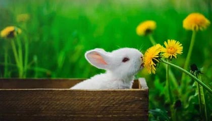 大庆伴游，定制QQ：3494206190微信：act1322